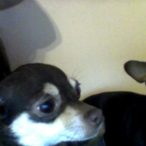 Meet your Posher, Alessandra